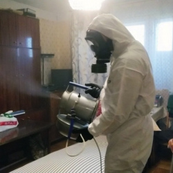 Дезинфекция от клопов в Богородицке